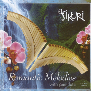 我的班长是个小烧杯小说作文
